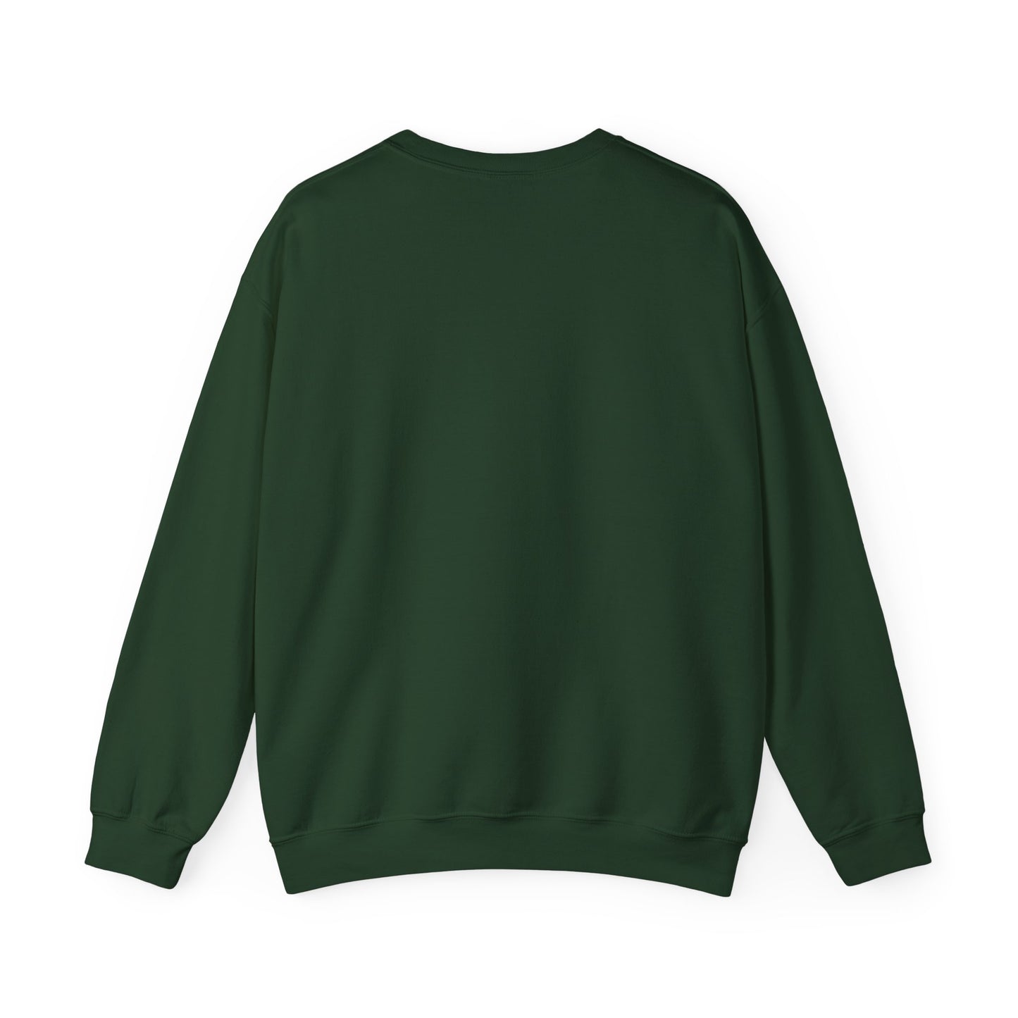 Sweatshirt  "Keep Your Eyes on the Horizon"