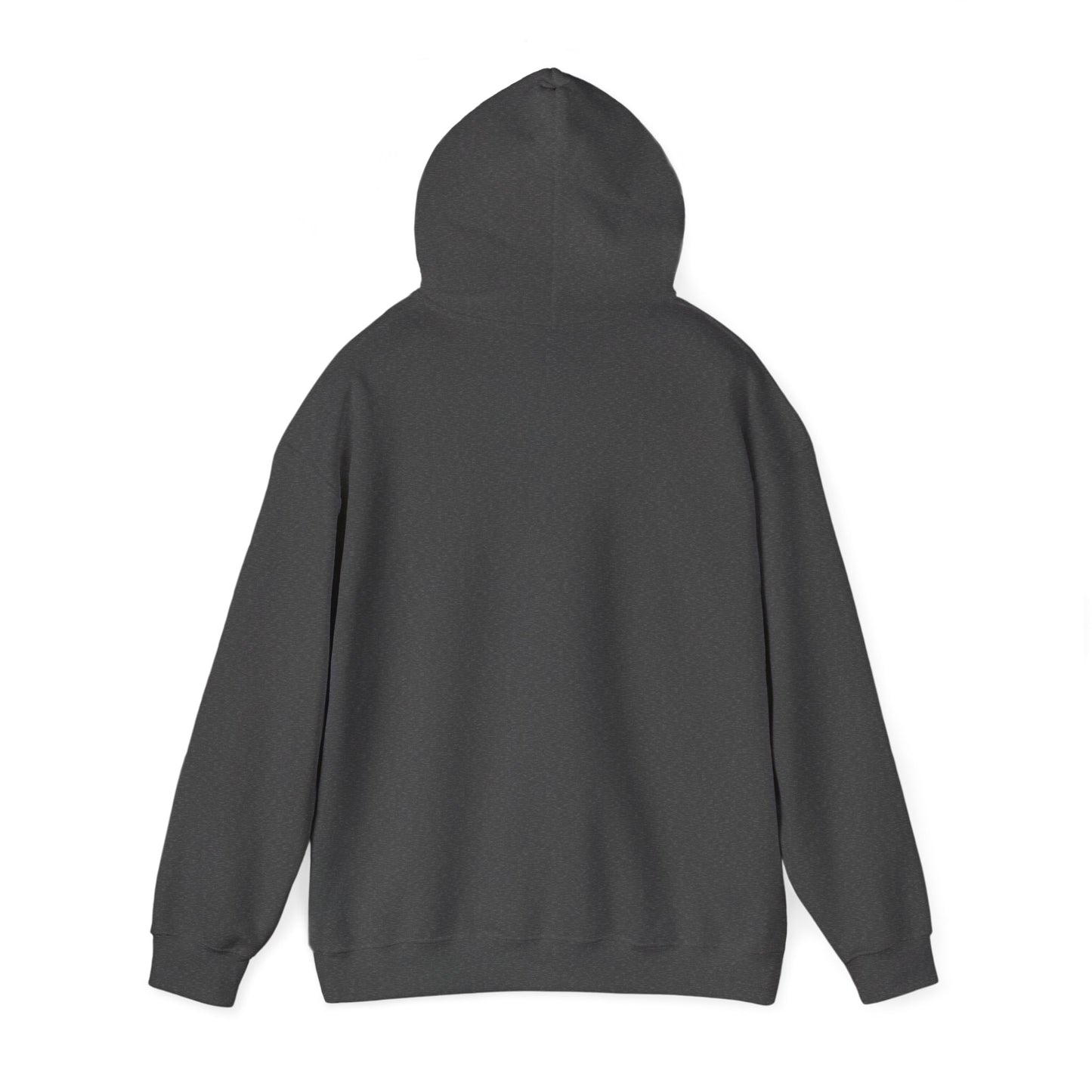Horizon Sunrise Hoodie – "Keep your eyes on the horizon"
