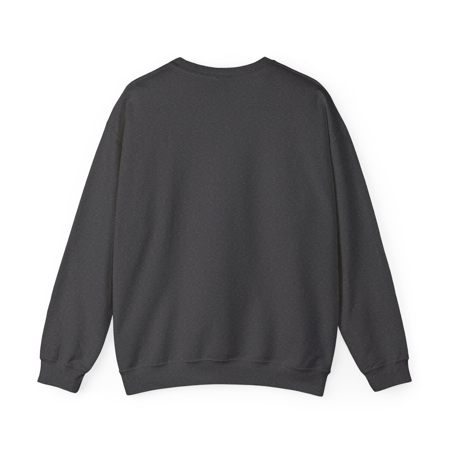 Sweatshirt  "Keep Your Eyes on the Horizon"